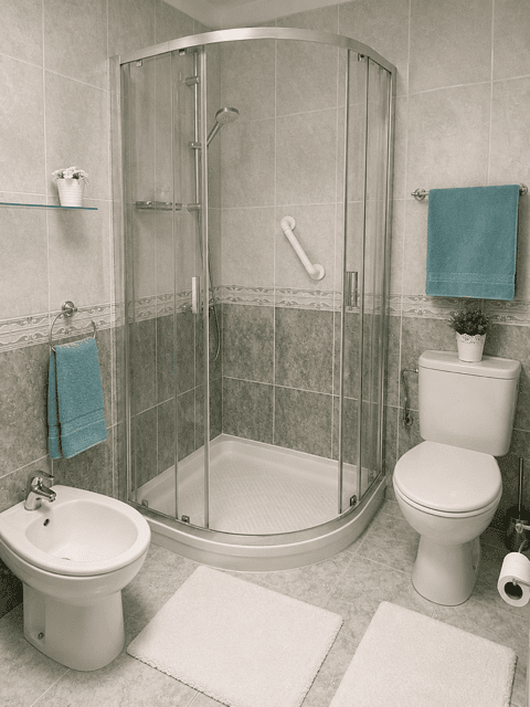 Bathroom with shower, bidet and accessories in Casas del Sol, accommodation in Tenerife.
