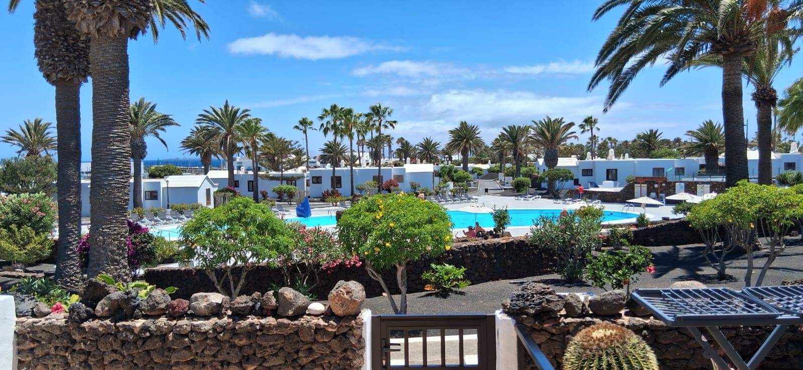 Swimming pool in Casas del Sol with palm trees and accommodation in the background.