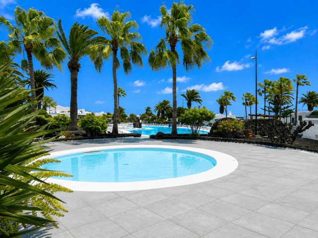 Swimming pool and palm trees at Casa del Sol, a sunny holiday destination.