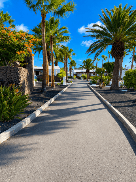 Road with palm trees and tropical gardens in Casas del Sol, holiday destination in the Canary Islands.