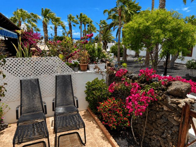 Tropical garden in Casas del Sol with sun loungers, palm trees and vibrant flowers.